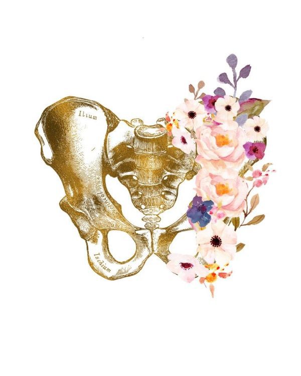 pelvik taban rehabilitasyonu, muğla, pelvik taban, pelvik taban terapistii muğla pelvik taban, muğla fizyoterapist, pelvik