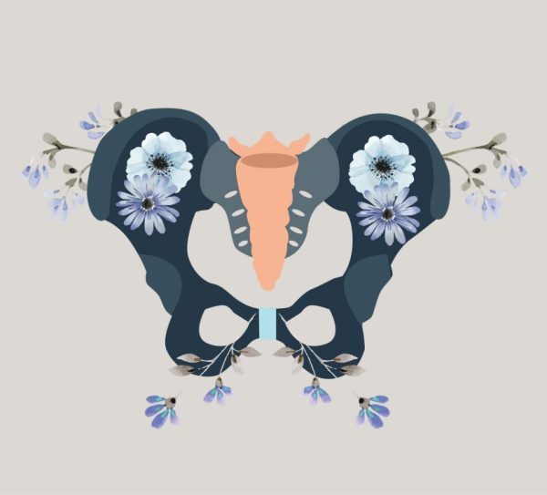 pelvik taban, muğla, pelvik taban hastalıkları, pelvik taban problemleri, pelvik taban rehabilitasyonu